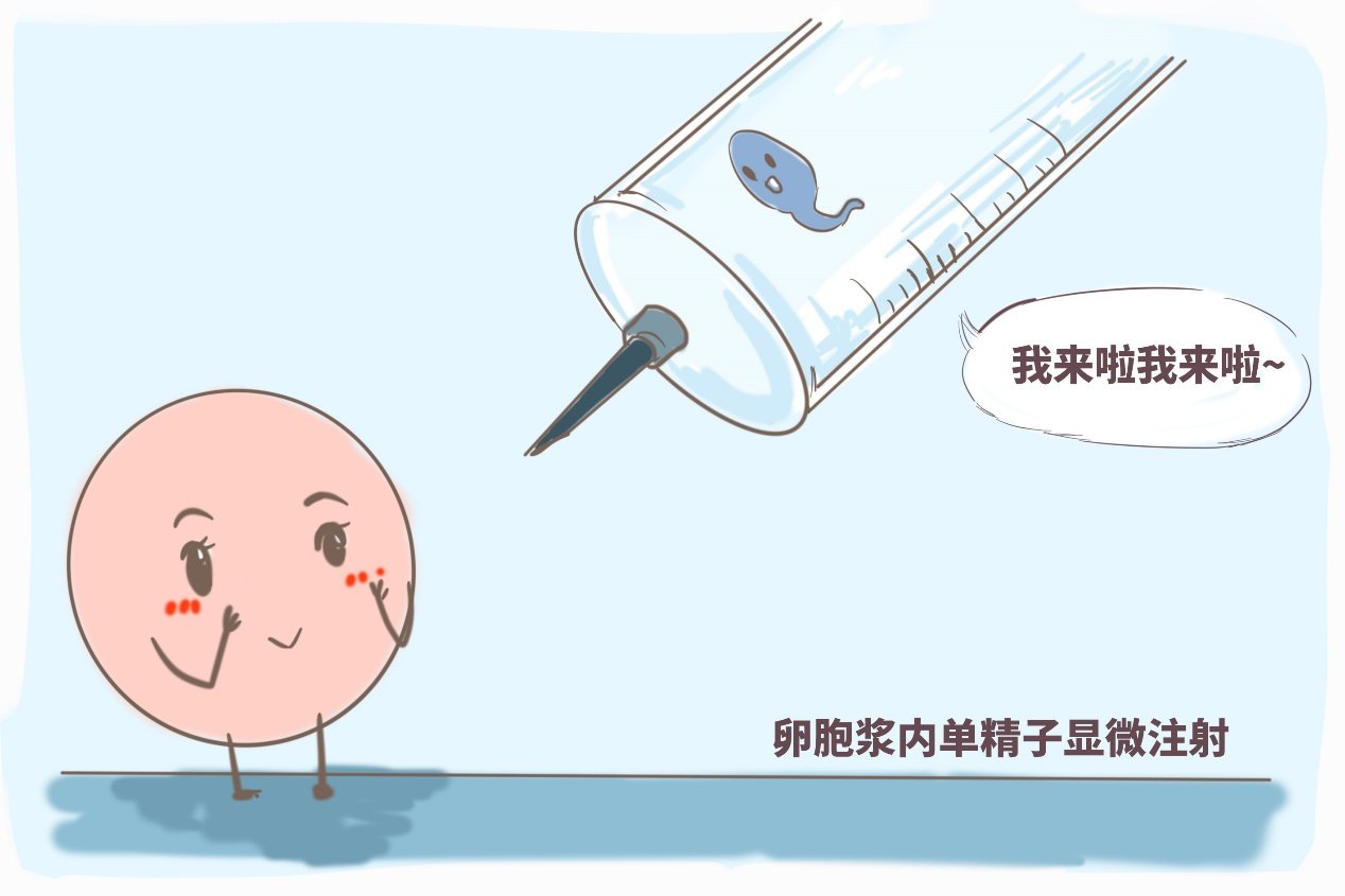 炒股怎么配资