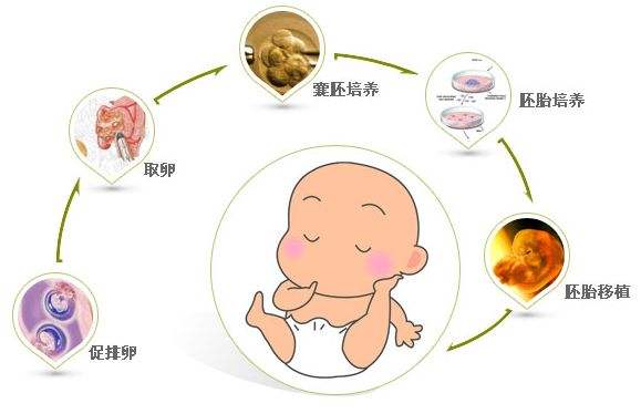 股票如何配资